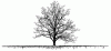 tree.GIF