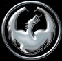 5194chrome_logo