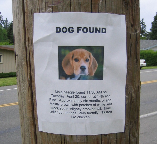 dog_found